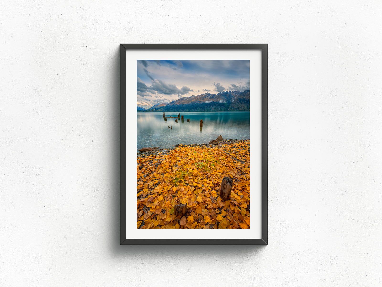 Wakatipu Colour - Image 3