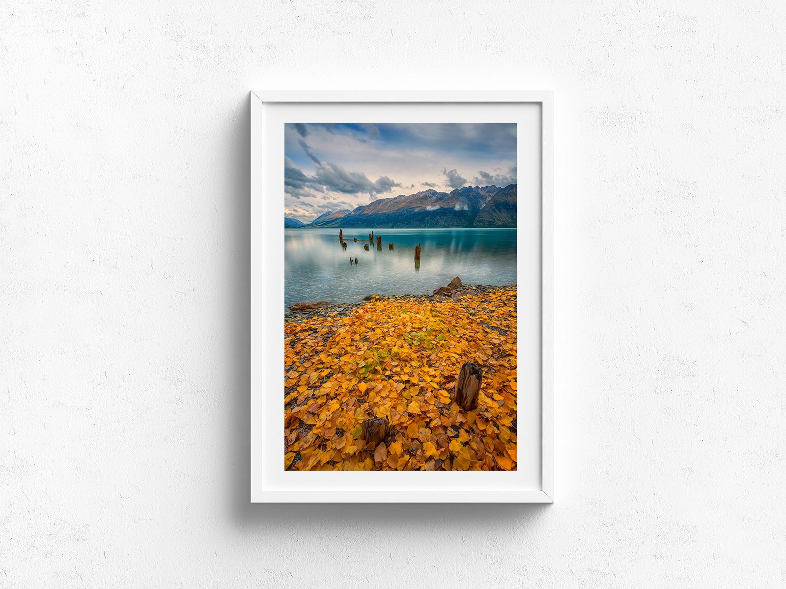 Wakatipu Colour - Image 4